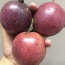 Chanh dây (chanh leo) chuẩn chất lượng